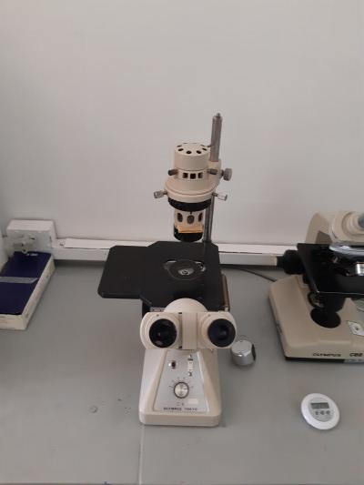 Microscópio Invertido Olympus_sala 2